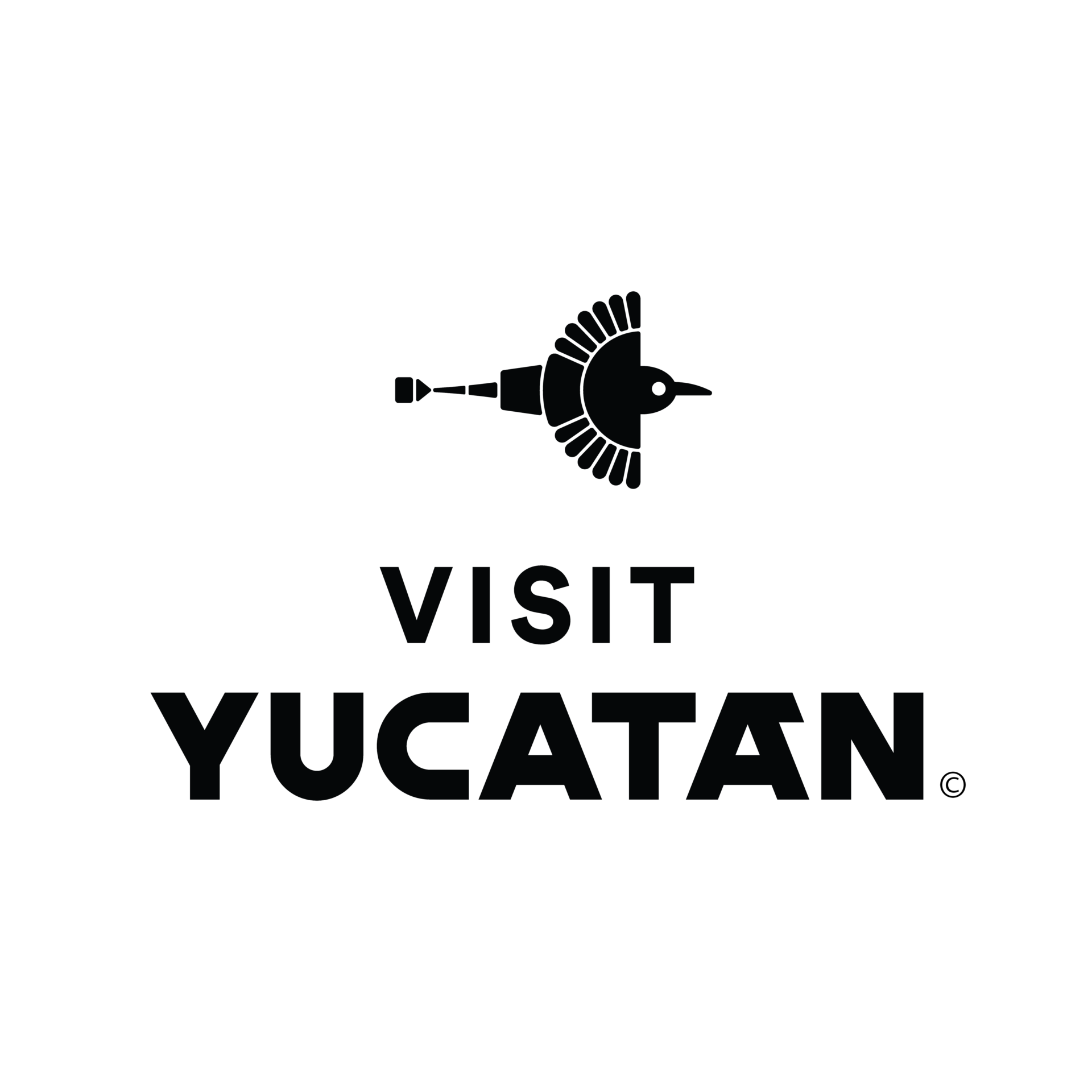 Visit Yucatan Logotipo 20 (1)