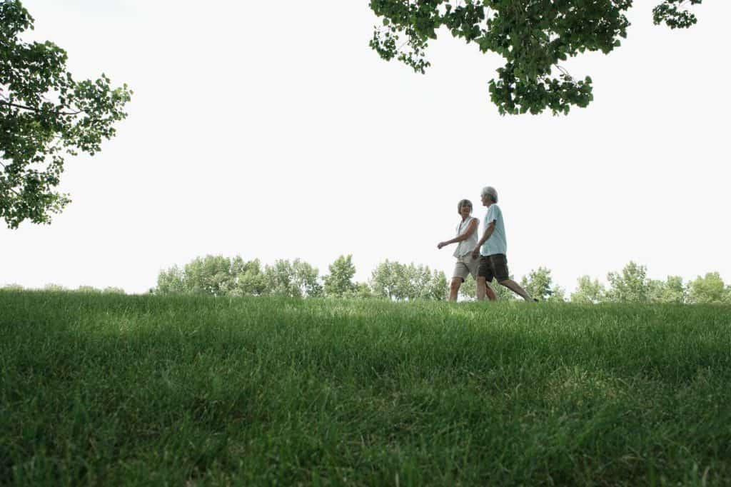 Collaborative working to increase walking in local parks