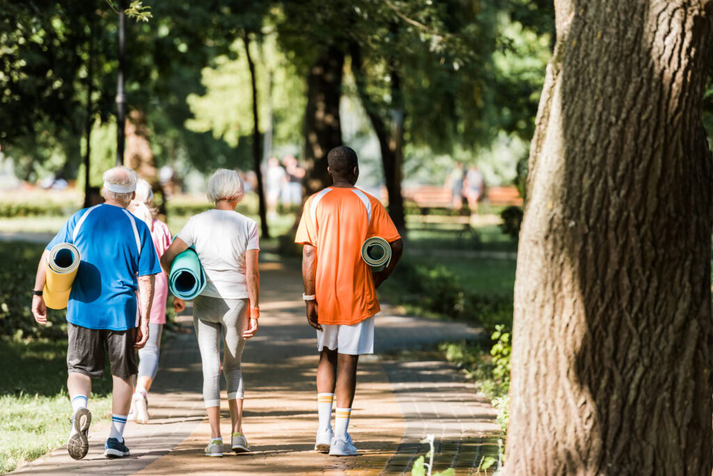 Back View Of Senior And Multicultural Pensioners Holding Fitness Mats And Walking In Park