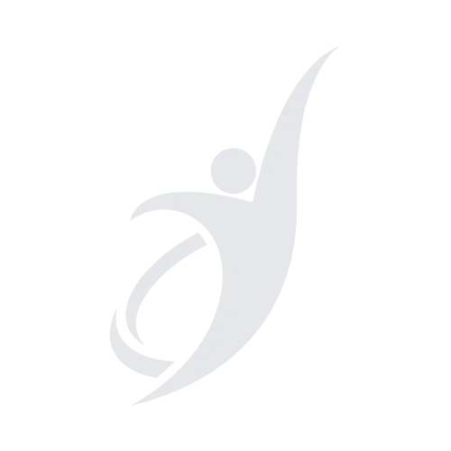 Ispah Logo 2024 Gray Favi
