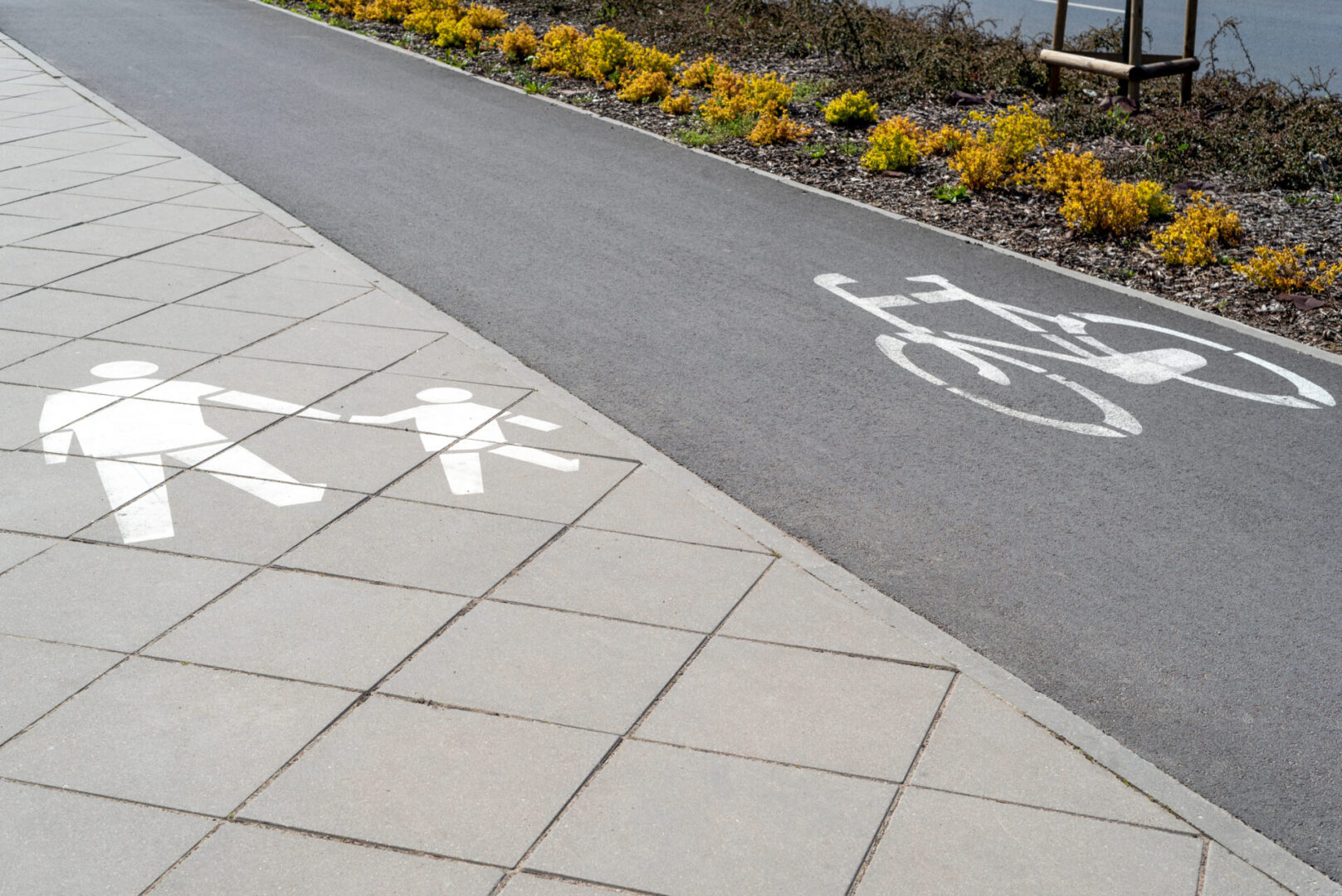 道路上有路标、行人和自行车标志。公园沥青路面上有行人和自行车人行道。
