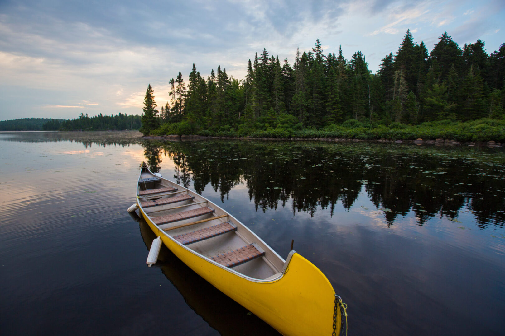 Summer morning in la mauricie national park, quebec, canada
