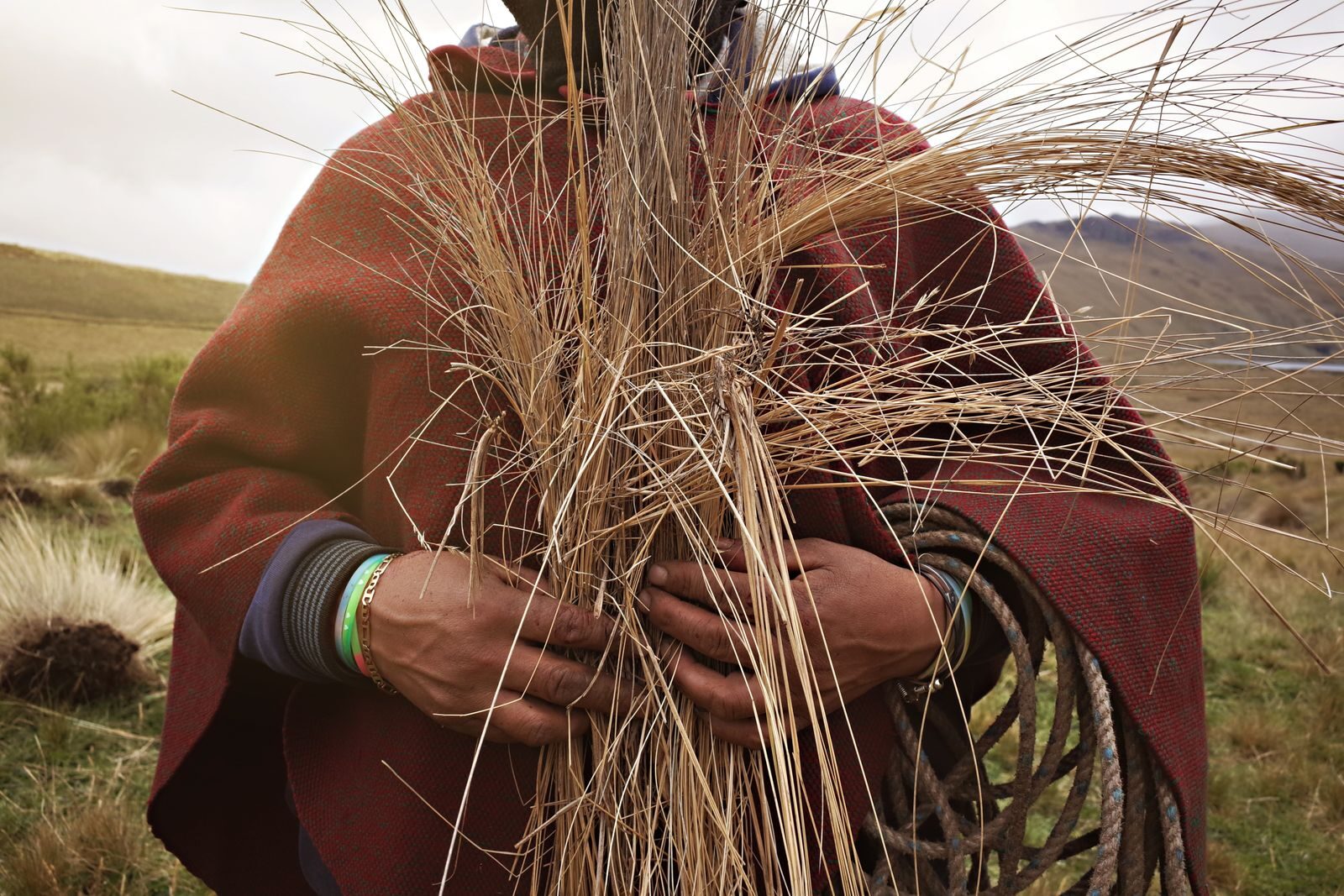 Close-up of an Ecuadorian farmer holding a bundle of straw in the Andes mountains.